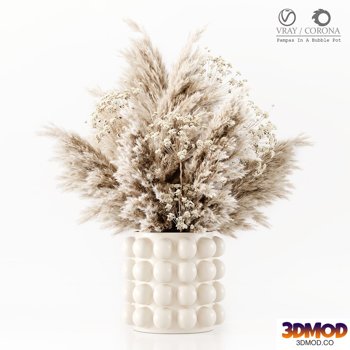 Pampas In A Bubble Pot