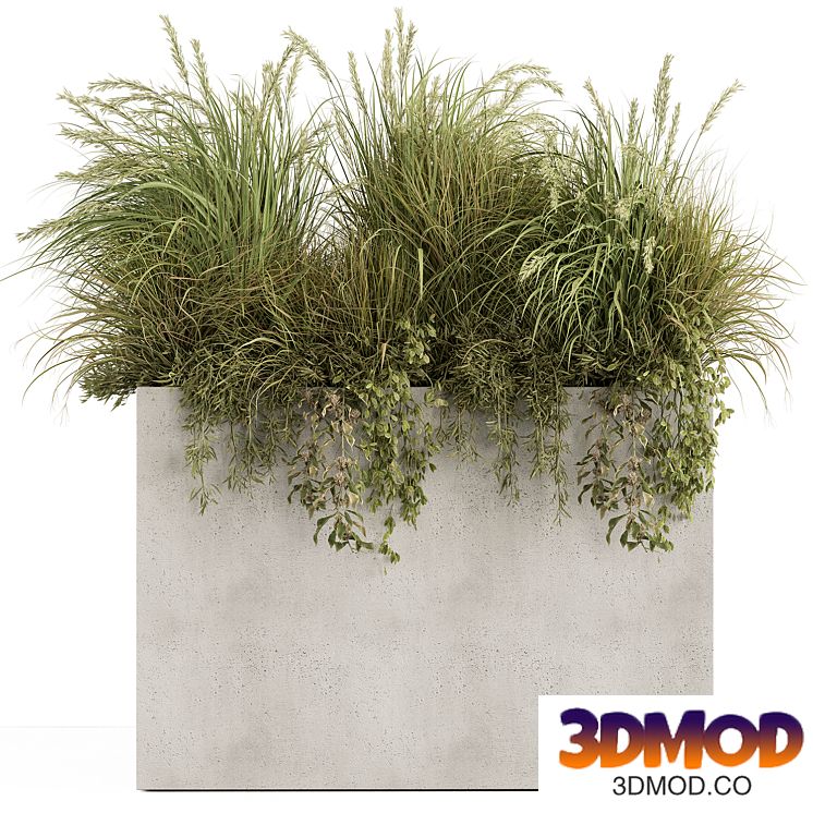 Plant Box - Outdoor Plants 480