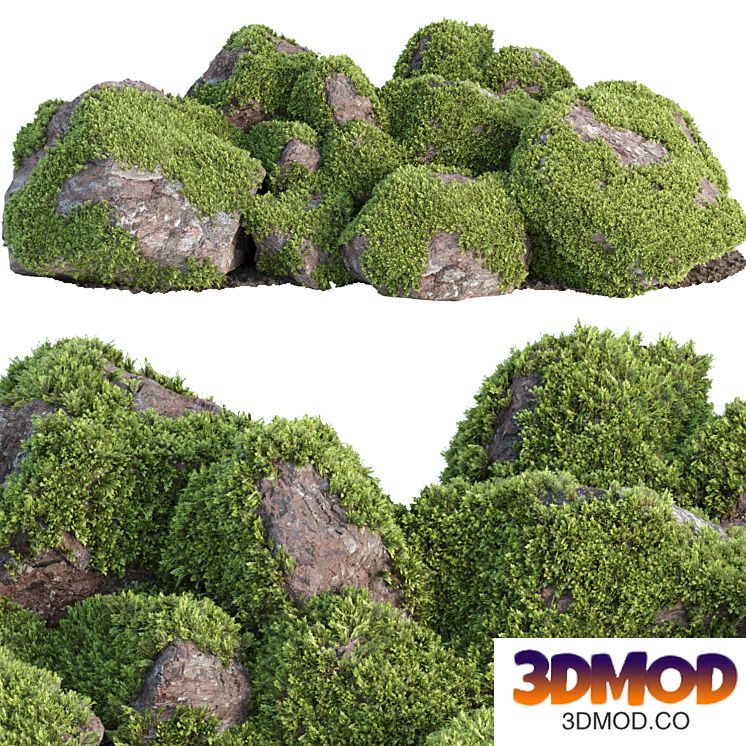 Mossy rock garden collection vol 140