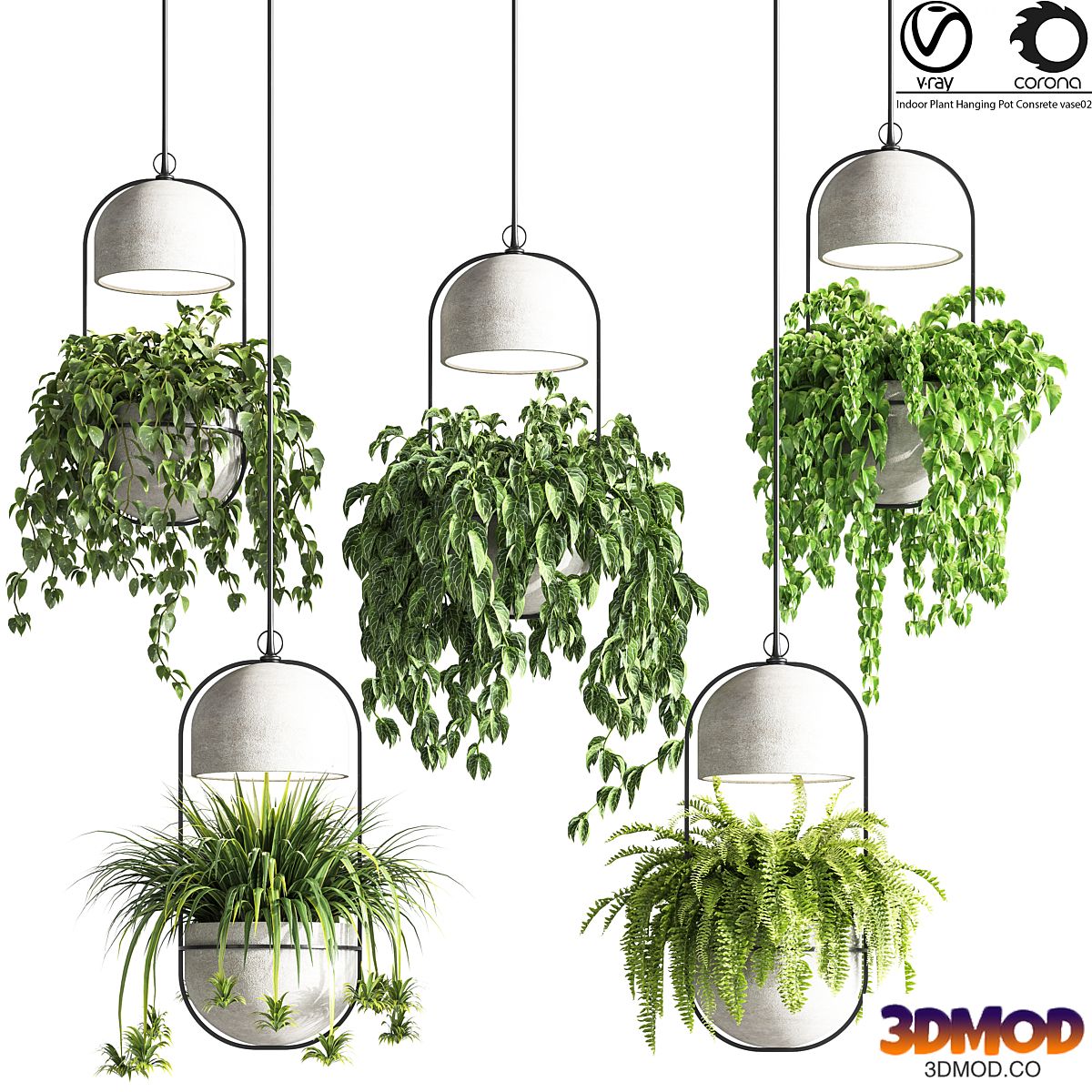 indoor_plants_hanging_pot_concrete_vase_02