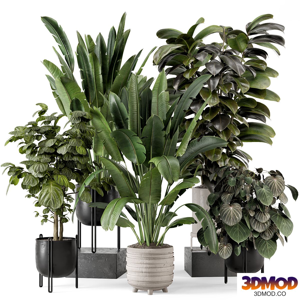 Indoor Plants in Ferm Living Bau Pot Large - Set 1208