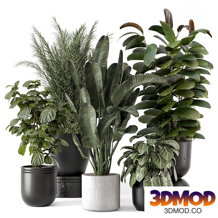 Indoor Plants in rusty Concrete Pot - Set 1265