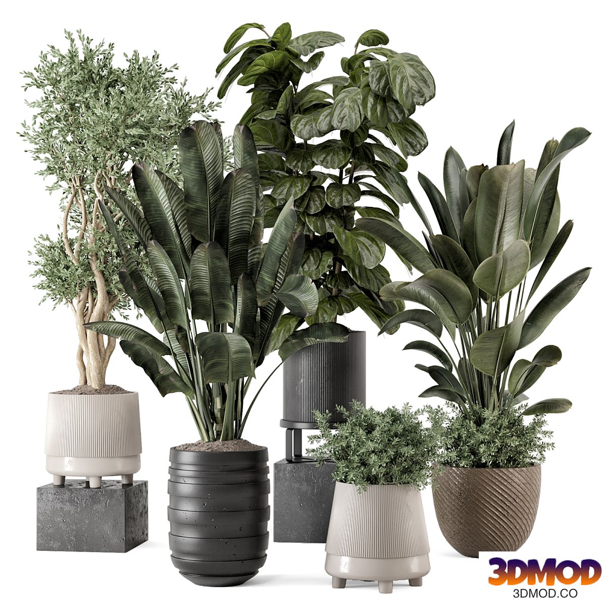 Indoor Plants in rusty Concrete Pot - Set 1291