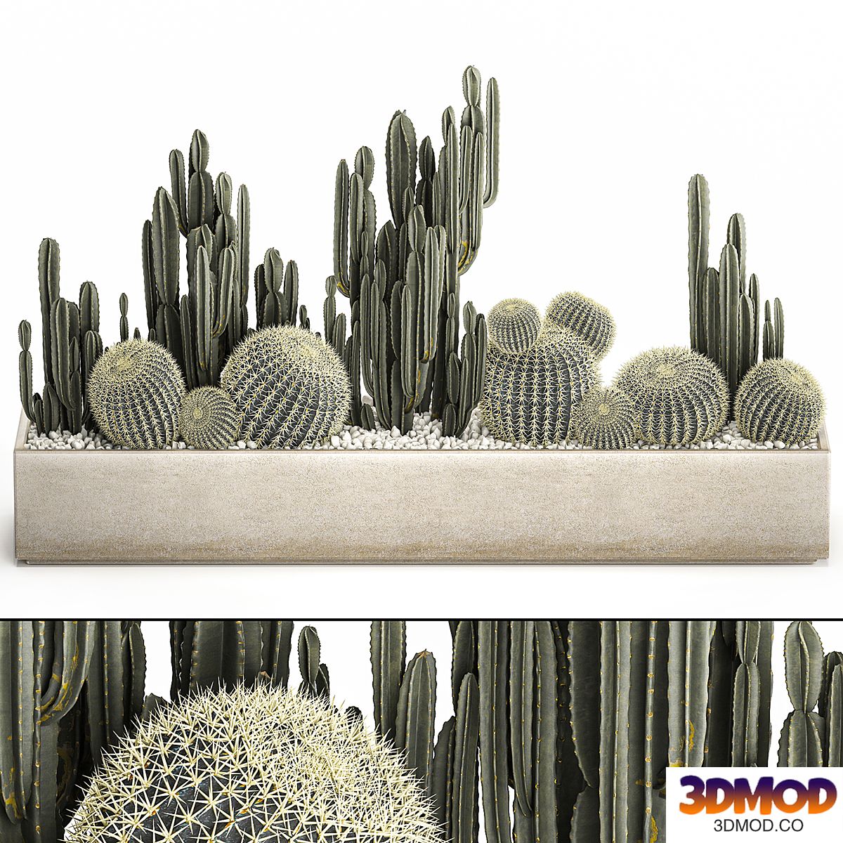 Collection of desert plants in a vase of cacti, cereus and echinocactus, barrel cactus. Set 1097.
