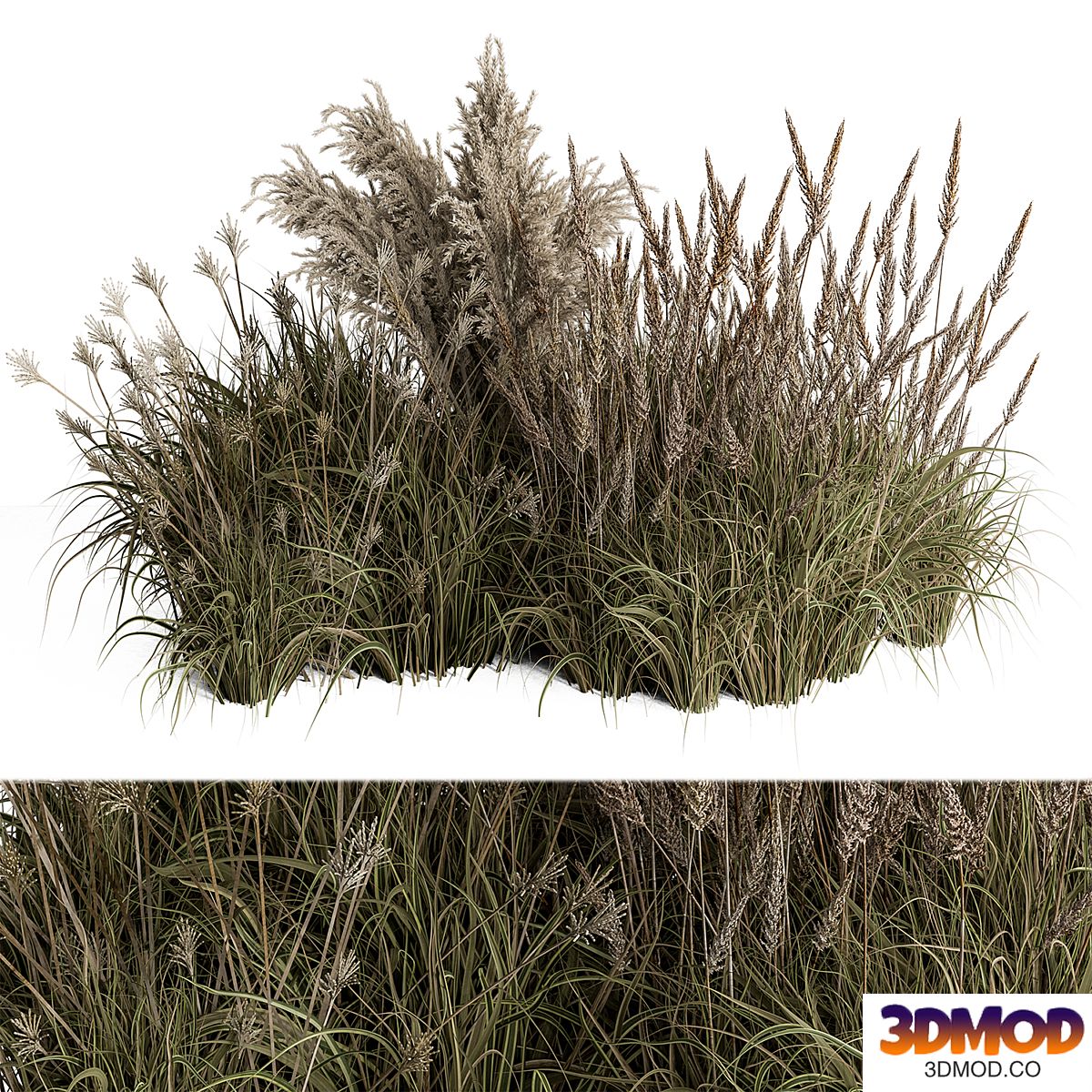 Pampas Plant Bush Set 96