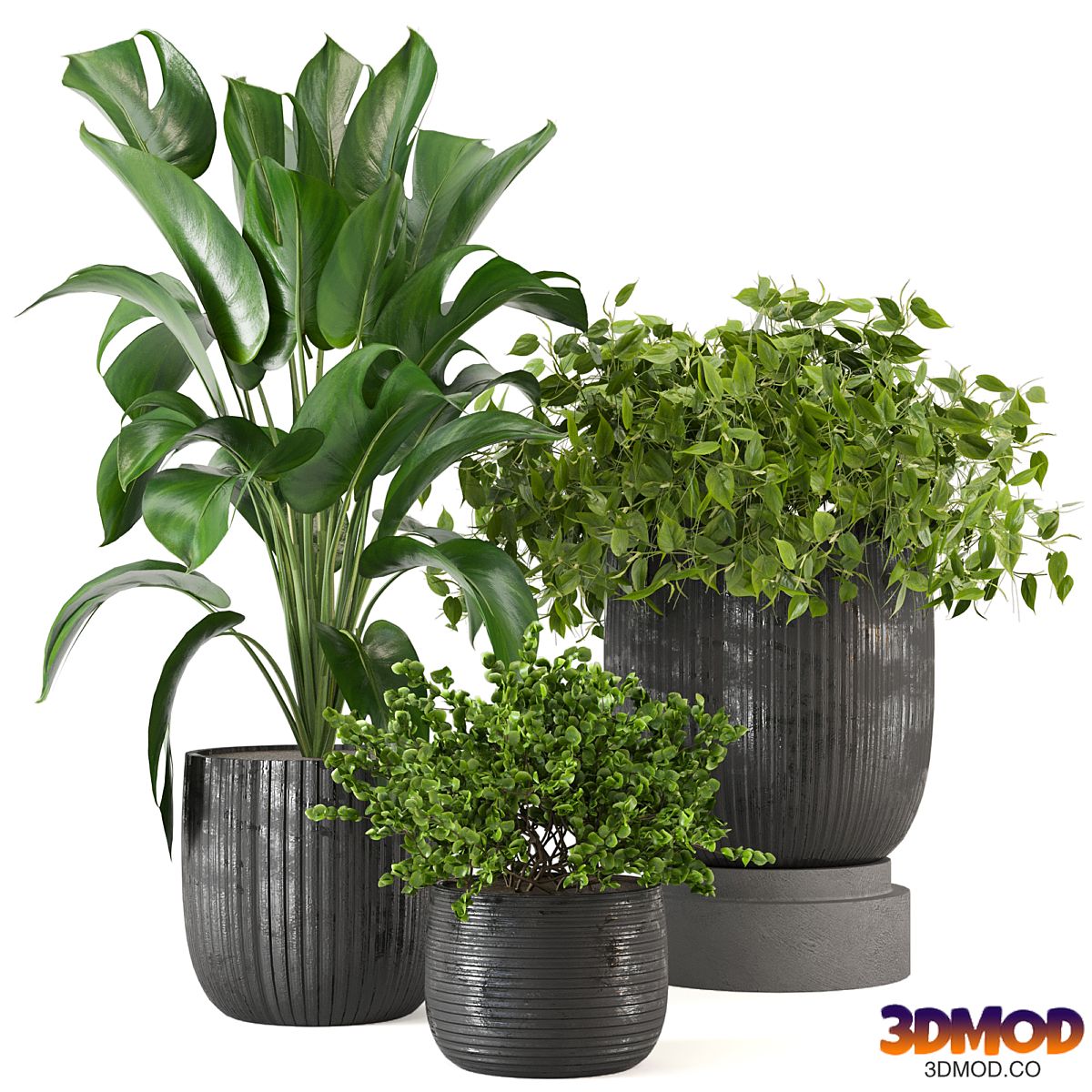 Indoor Plants Collection - Set 409