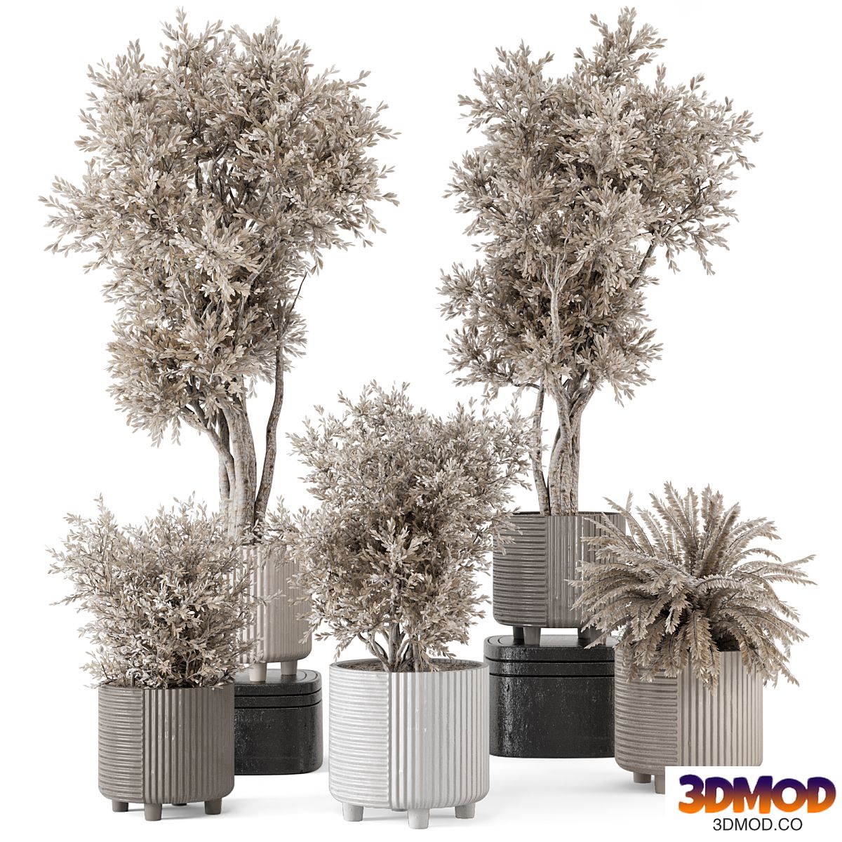 Indoor Plants in rusty Concrete Pot - Set 905