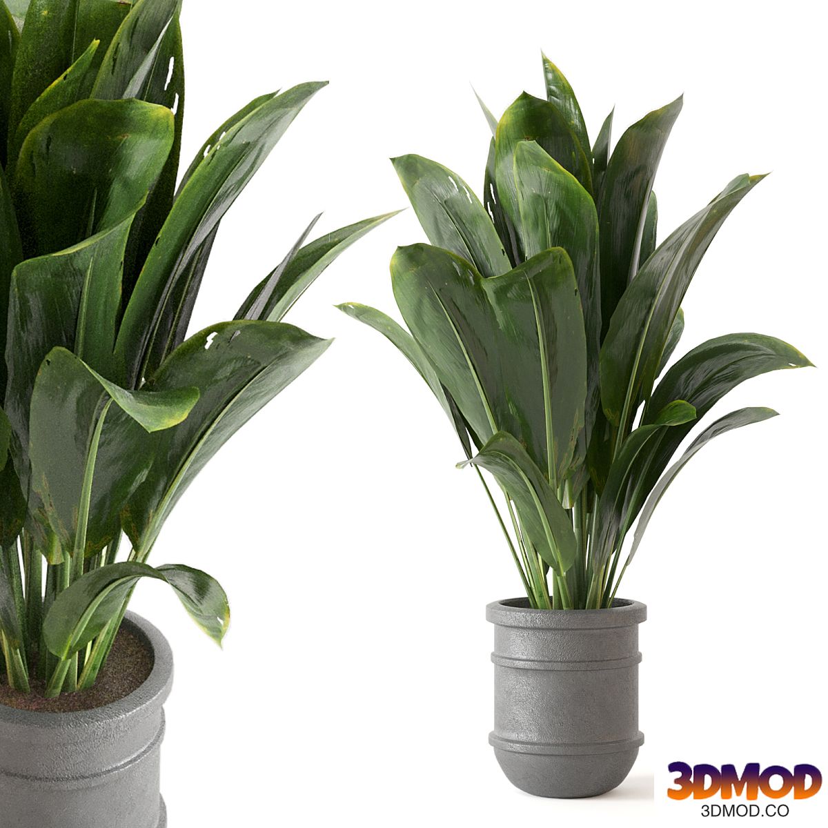 Indoor Plants Collection - Set 412