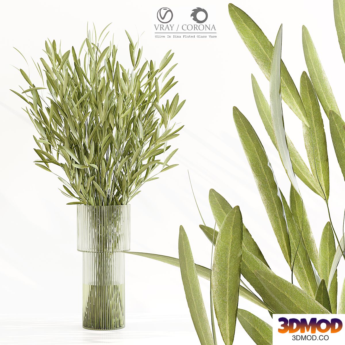 Olive In Dina Fluted Glass Vase
