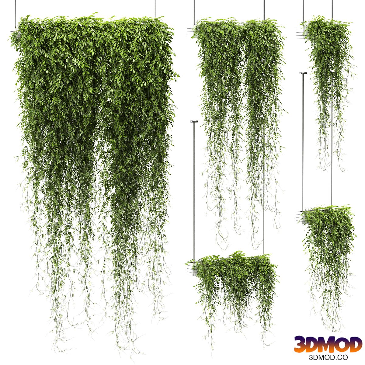 Plants in hanging pots v4. 5 models