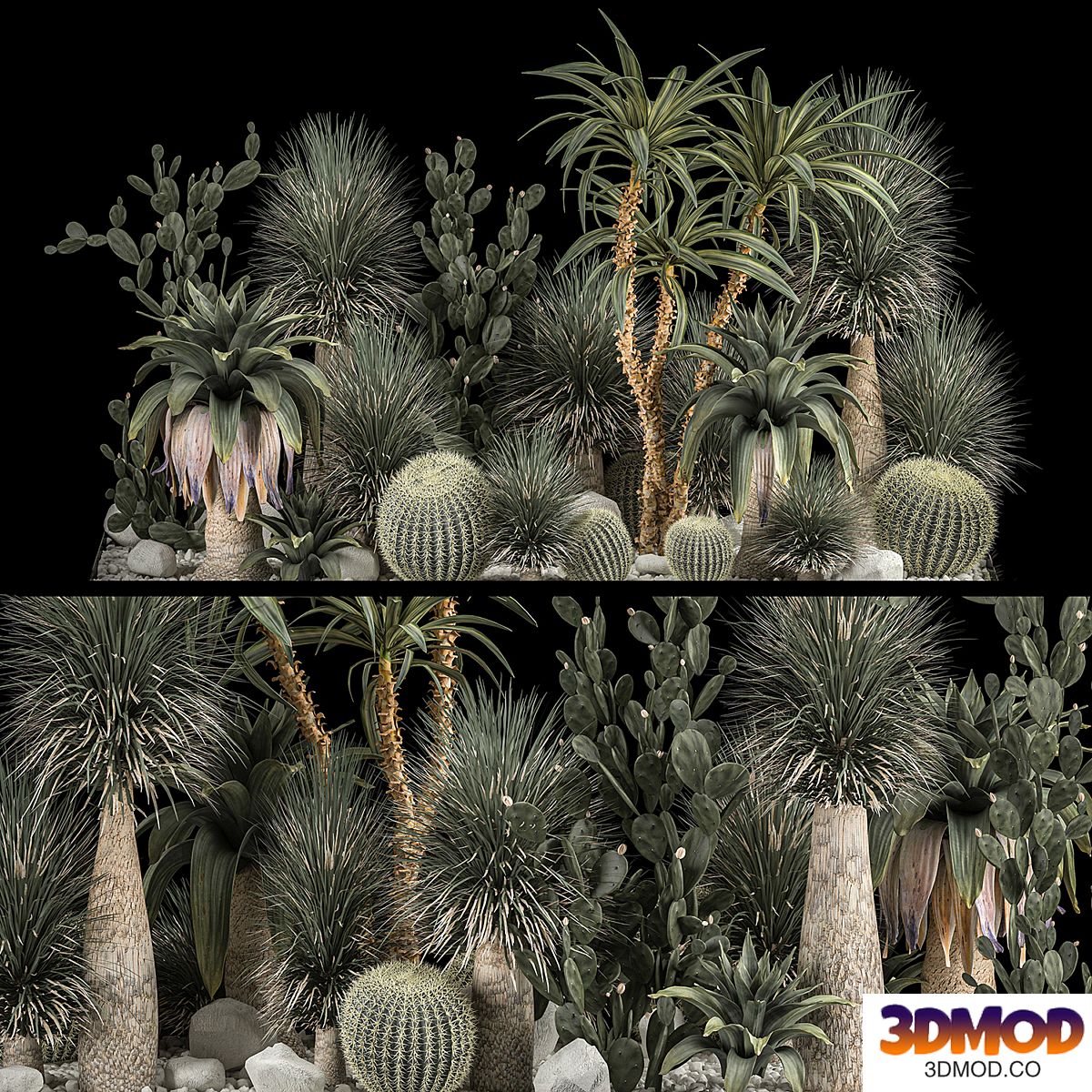 Collection of tropical plants of the desert 1117. cactus, yucca, prickly pear, thickets, bushes, garden, dracaena