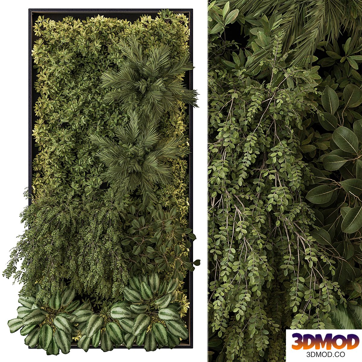 Vertical Garden - Wall Decor 59