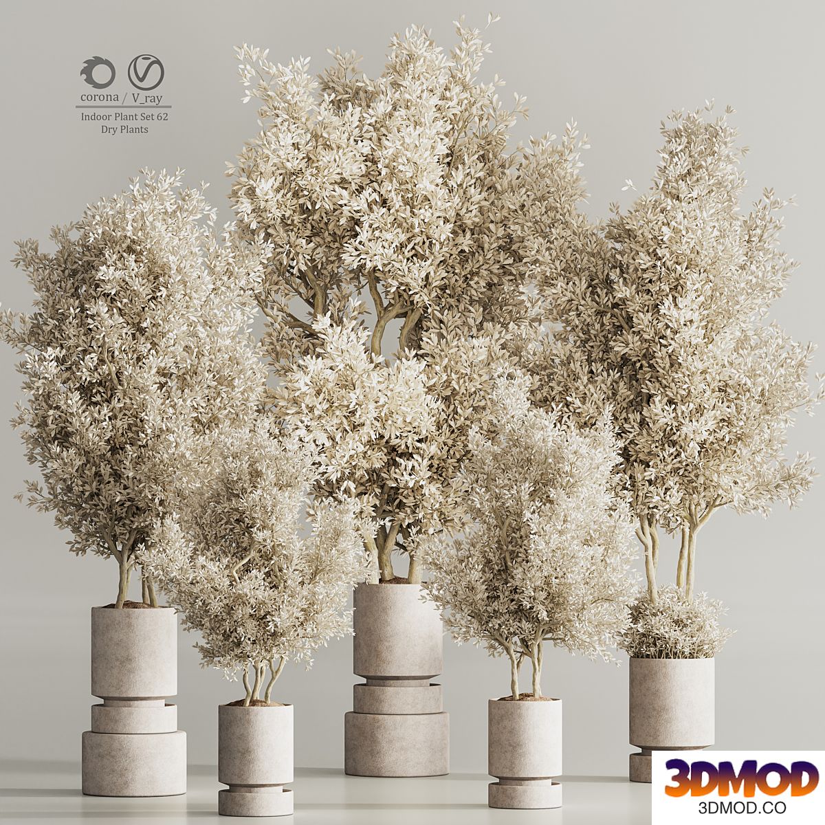 Indoor Plant Set 62 Dry Plants