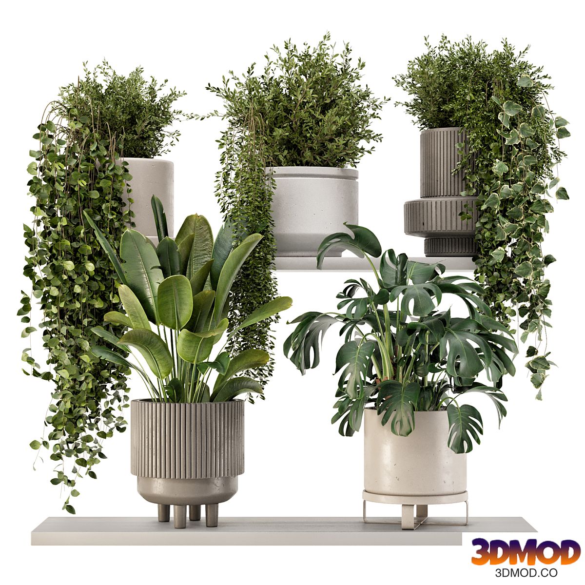 Indoor Hanging Plants in rusty Concrete Pot - Set 909