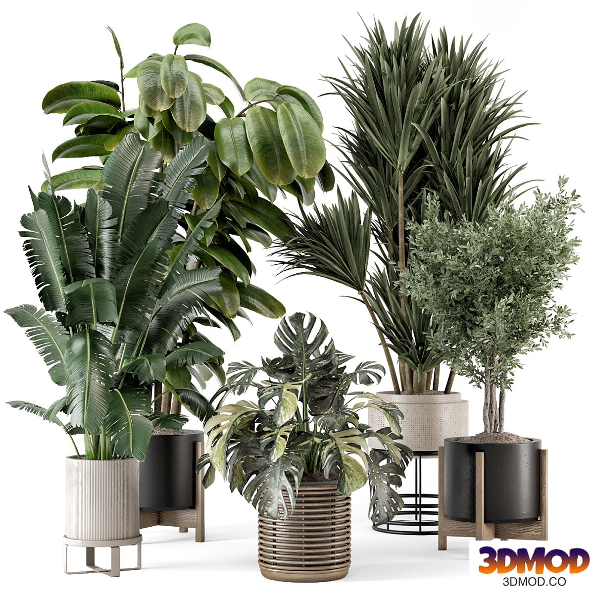 Indoor Plants in Ferm Living Bau Pot Large - Set 1328