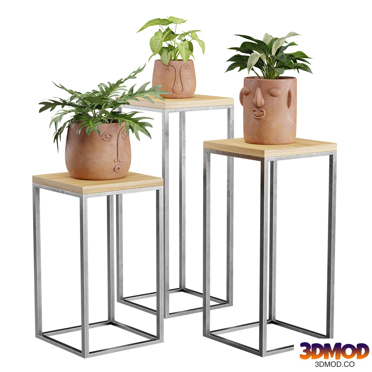 Facepot Terracota Plant Set
