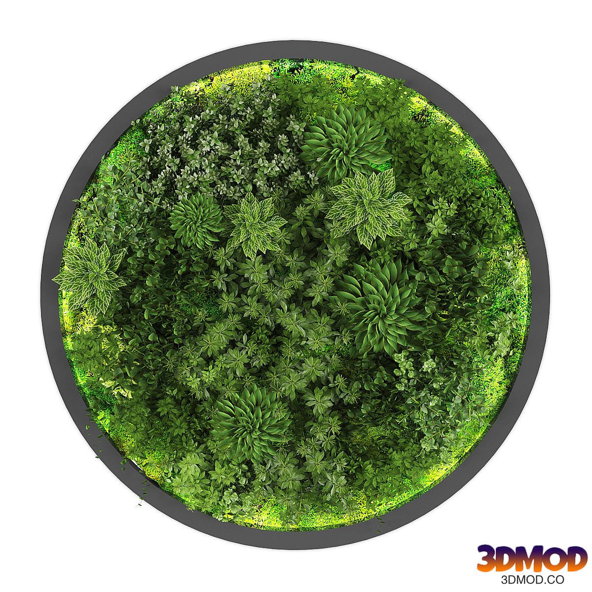 vertical garden188