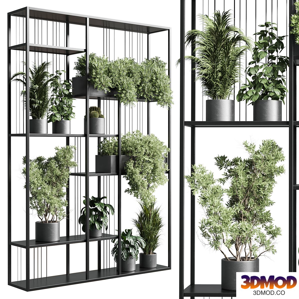 Standing metal shelf with a set of plants in concrete and metal boxes 325