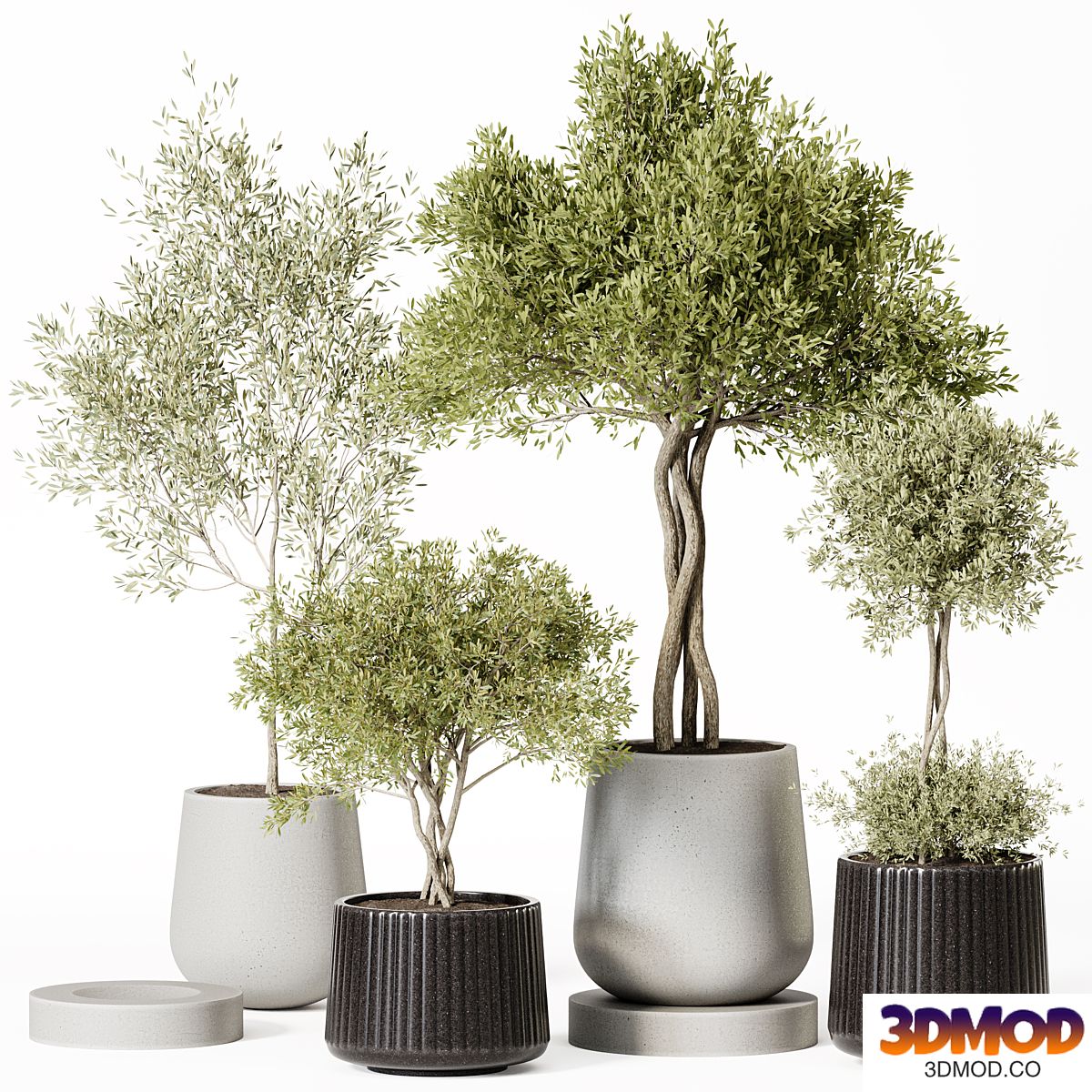 Indoor Plant Set 019