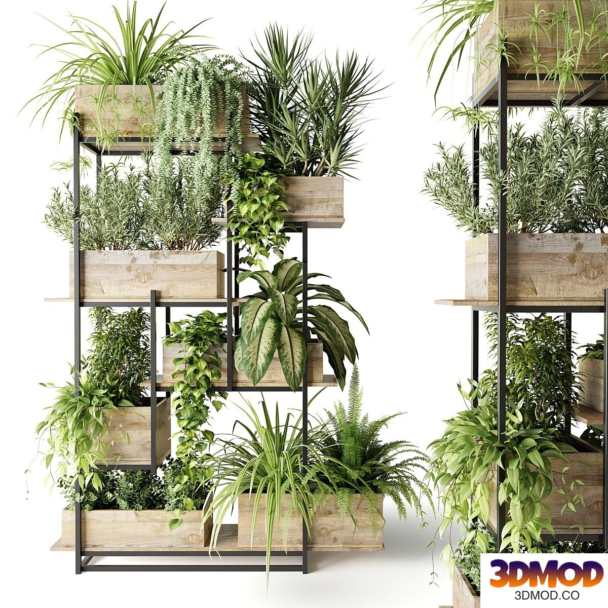 Metal rack with plants in wooden boxes