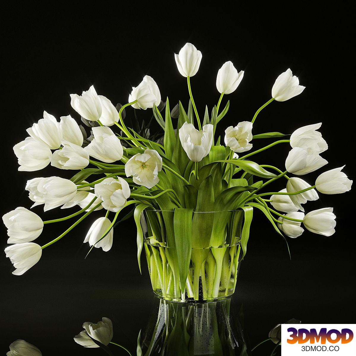 Tulips