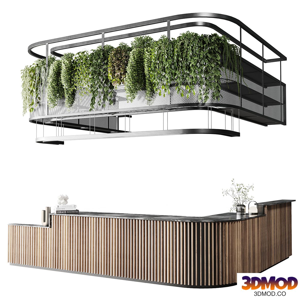 Coffee shop reception, Restaurant counter by hanging plant - 03
