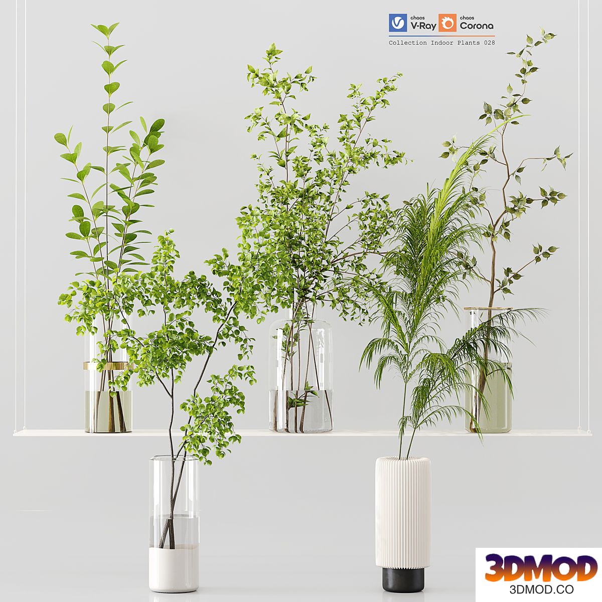 Collection Indoor Plants 028