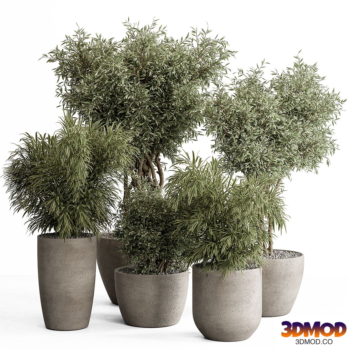 indoor Plant Set 417 - Tree and Bush