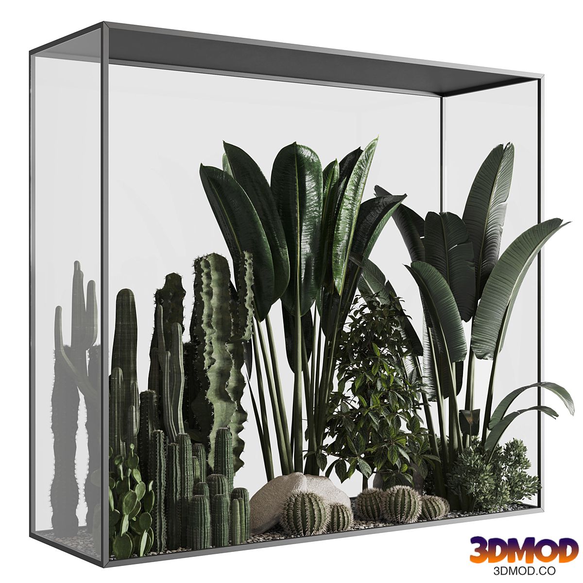 Plants behind glass 02