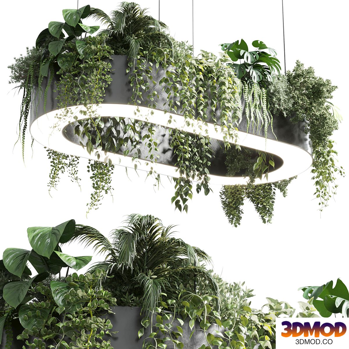 pot light - pendant plant light hanging 06 corona