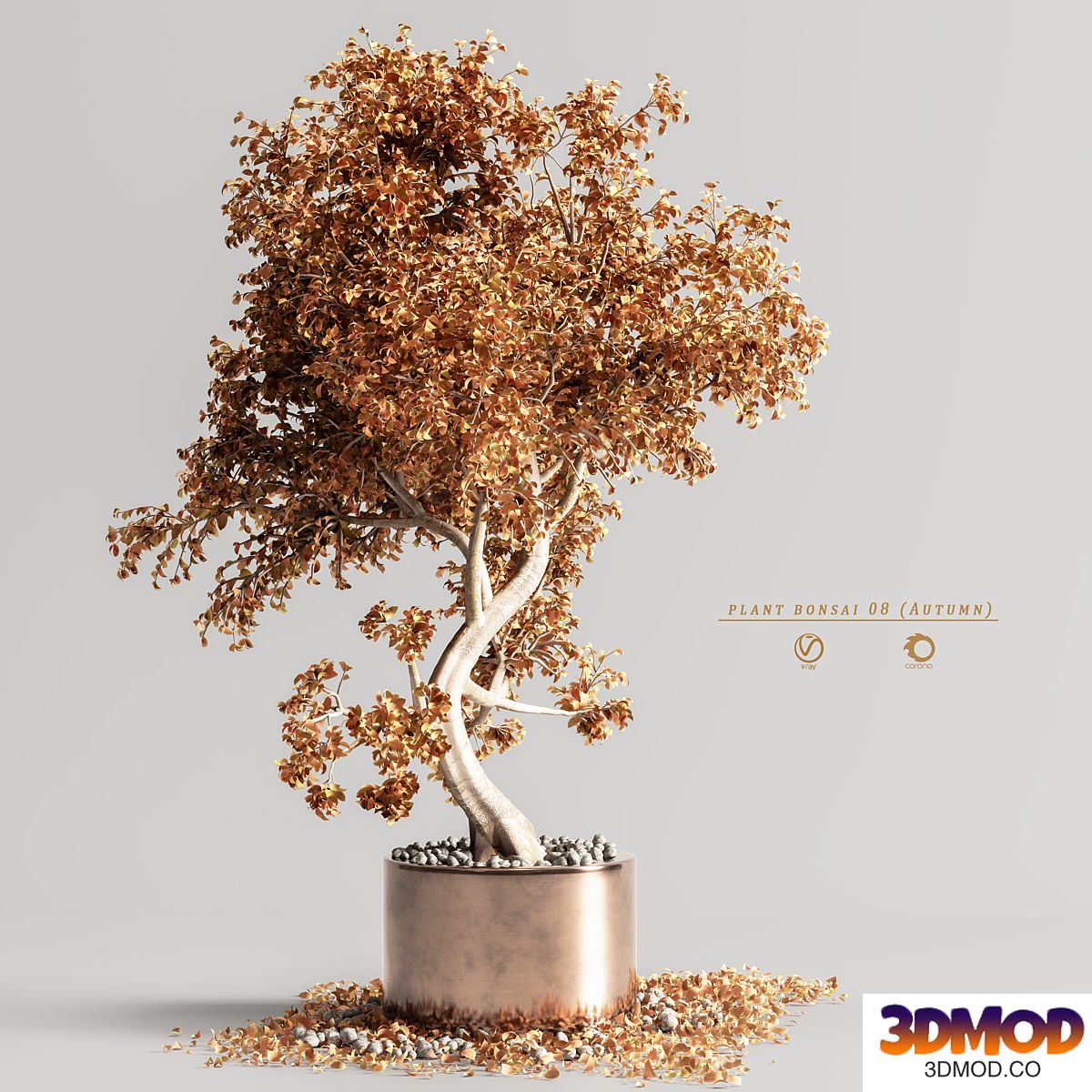 plant bonsai 08 (Autumn)