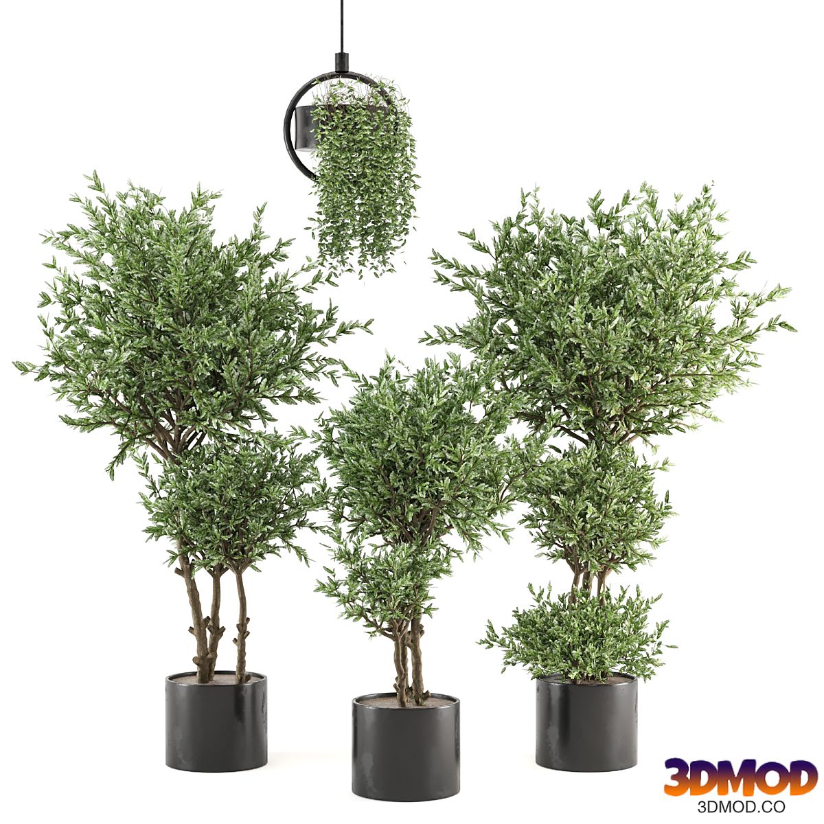 Indoor Plants Collection - Set 416