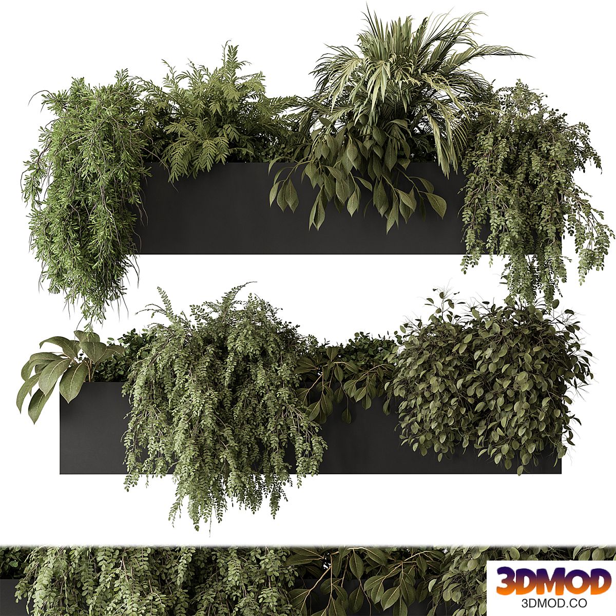 indoor Plant Set 297 - Hanging Plants