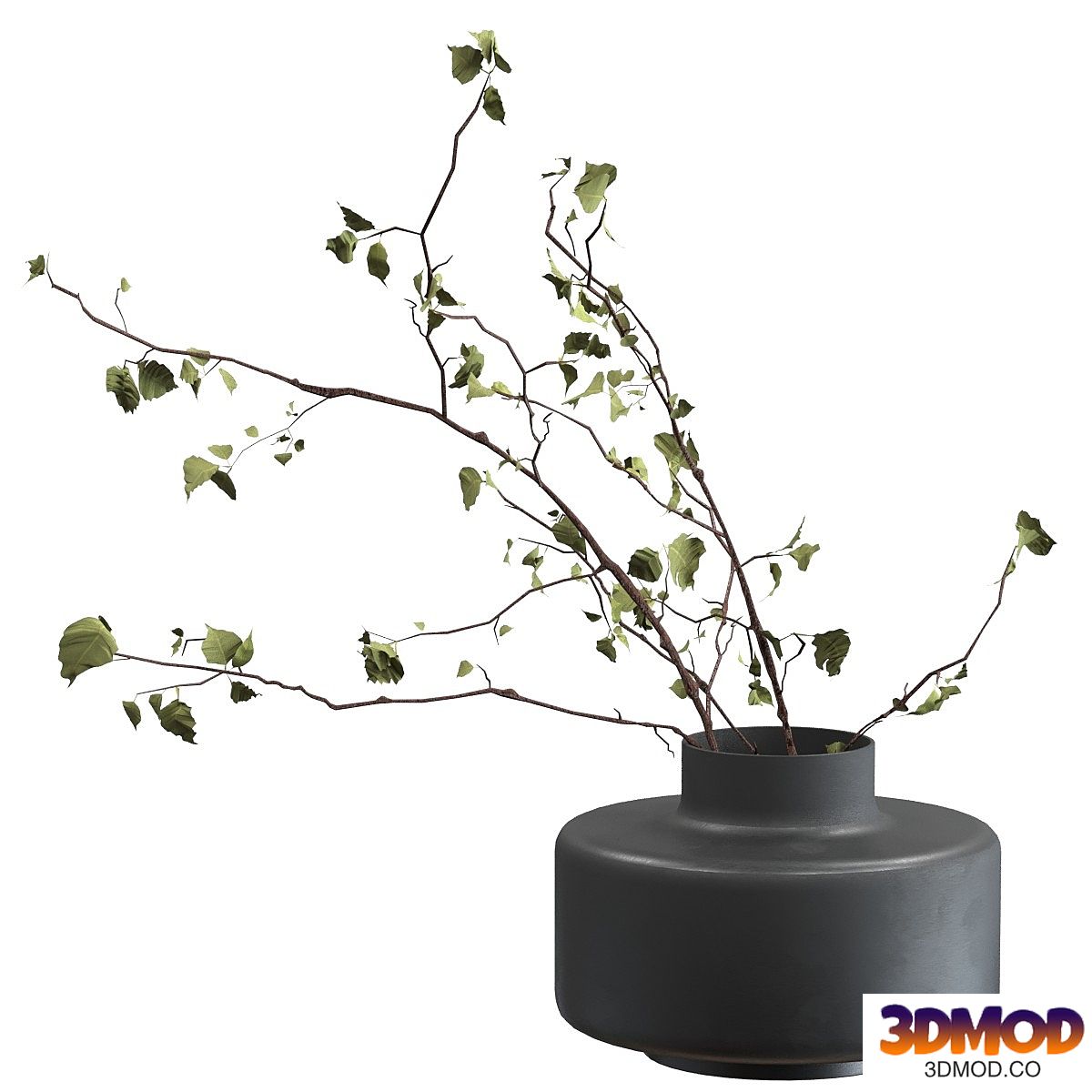 Bouquet of branches