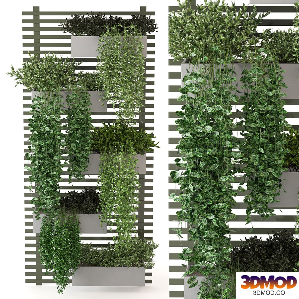 Indoor Plants Collection - Set 393