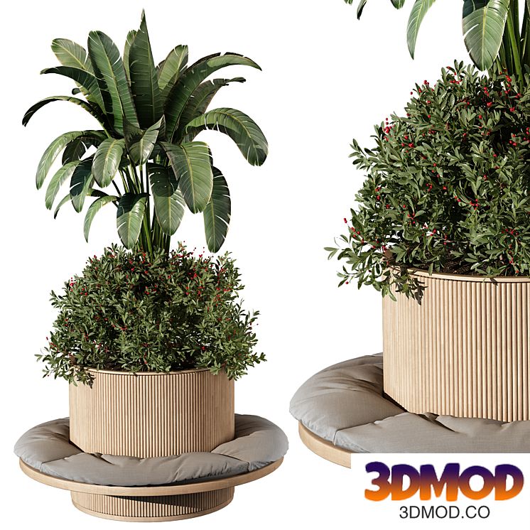 indoor Plant 249
