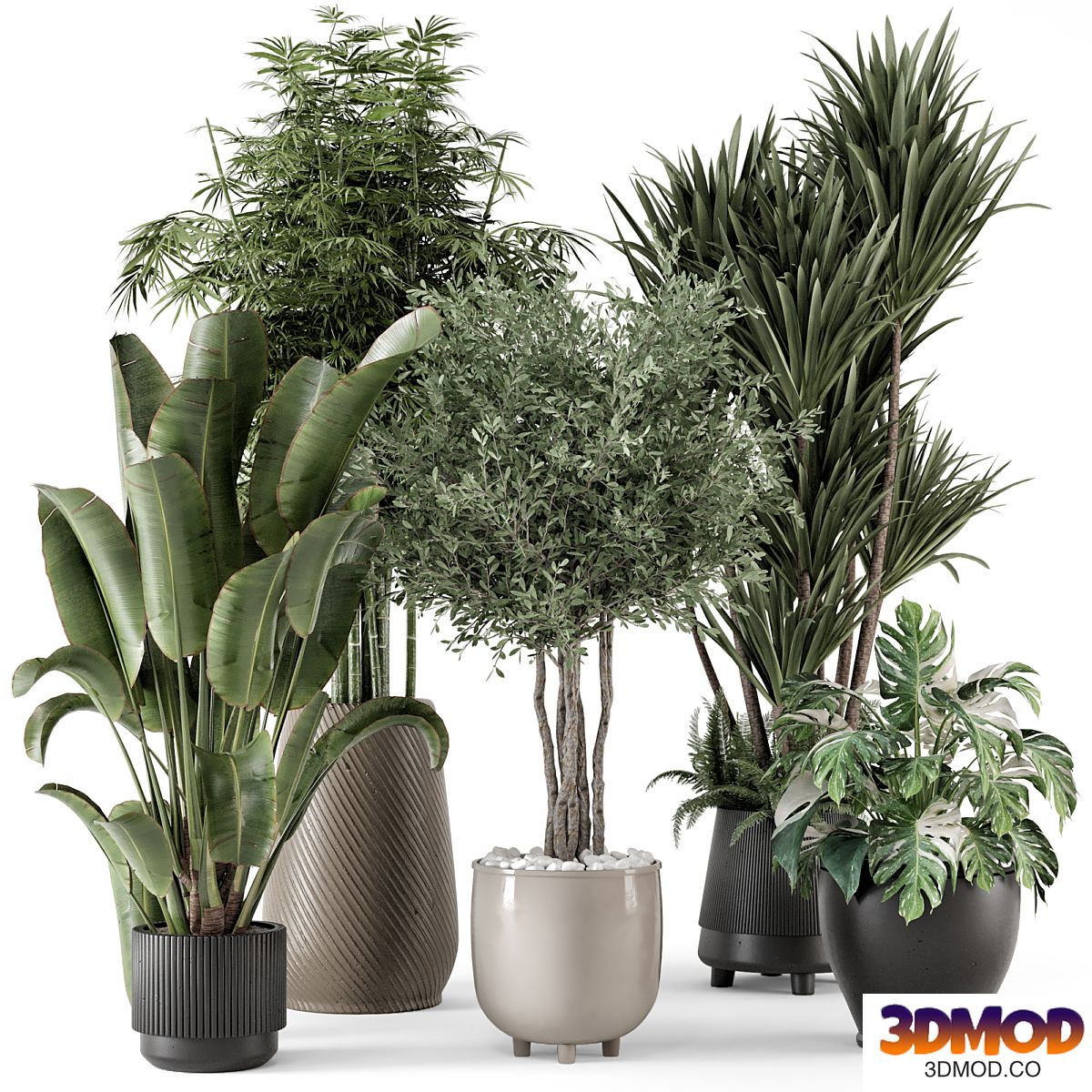 Indoor Plants in Ferm Living Bau Pot Large - Set 1325
