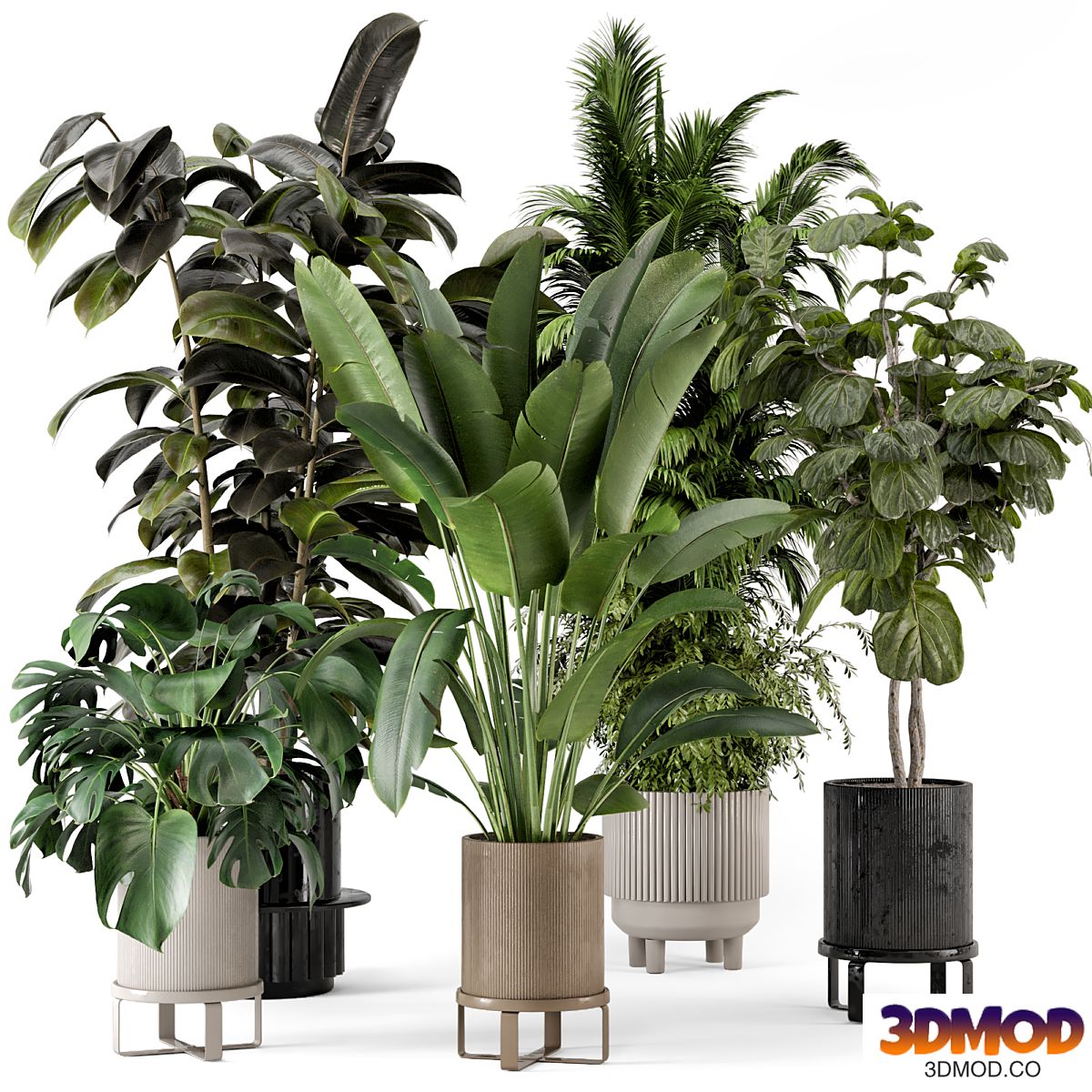 Indoor Plants in Ferm Living Bau Pot Large - Set 734
