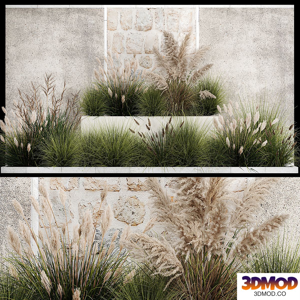 Collection of flowerbed plants and bushes with grass for landscaping, pampas grass, cortaderia and white reeds. 1126.