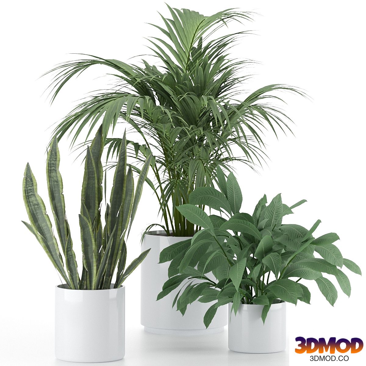 Plant-Set-001