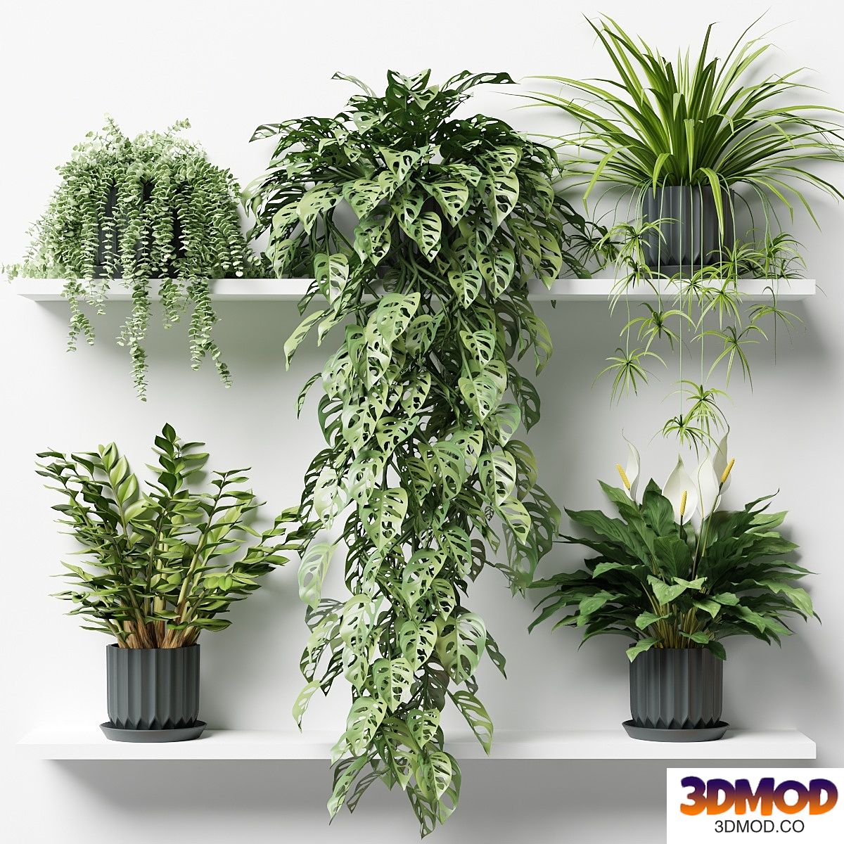 Plants on a shelf in ribbed pots