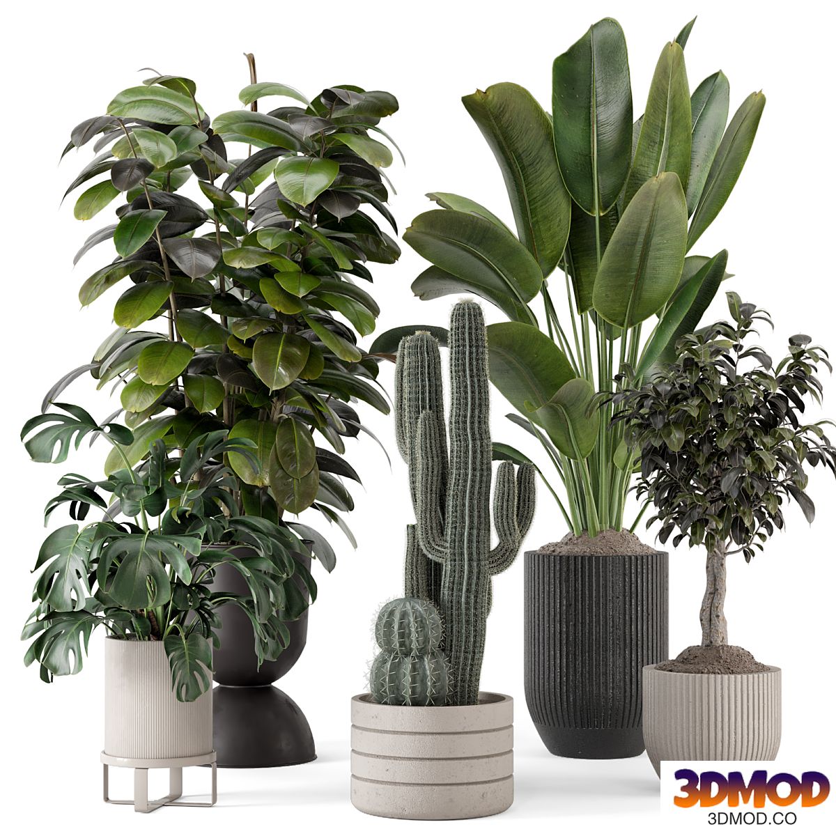 Indoor Plants in Ferm Living Bau Pot Large - Set 1220
