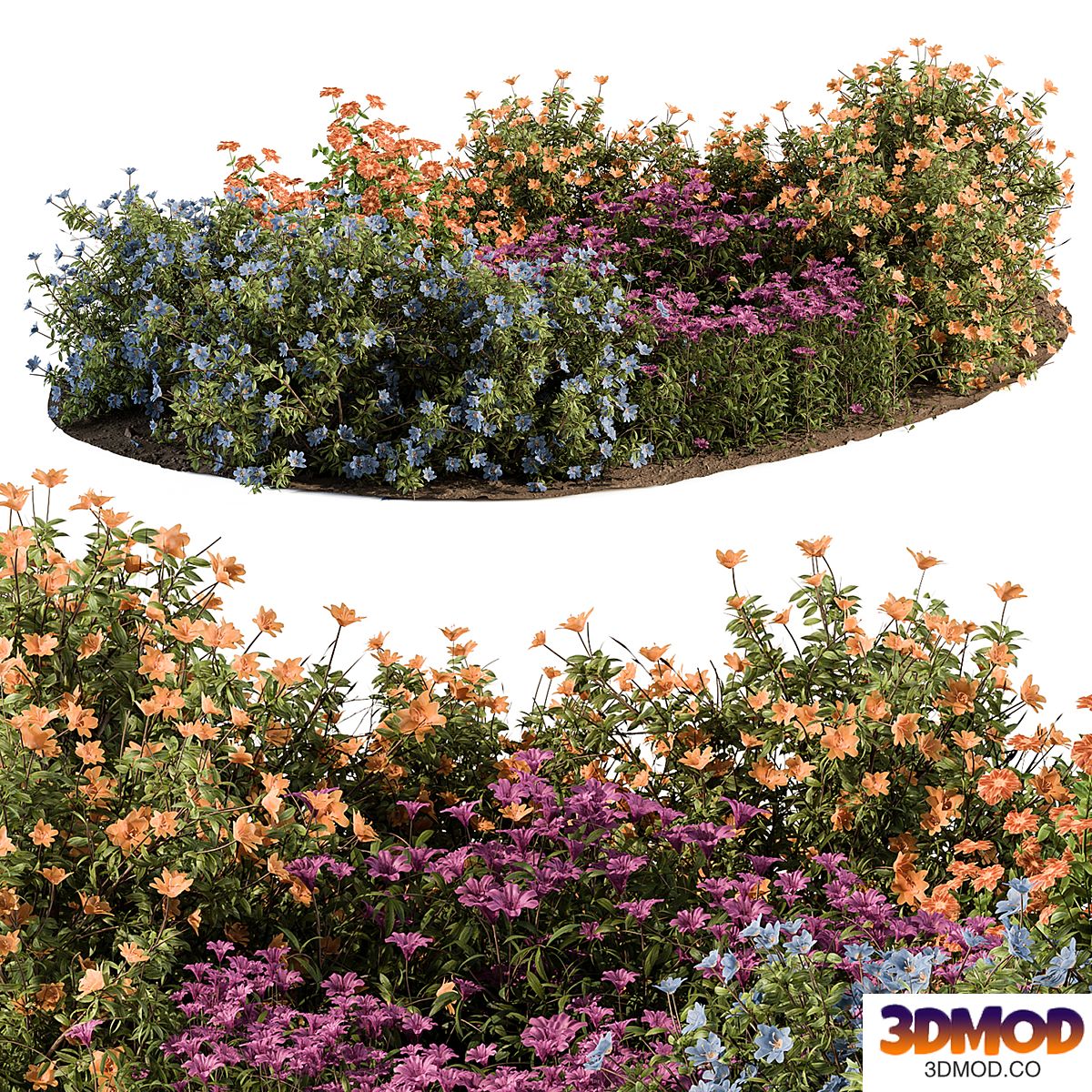Garden Set colorful Flower Bush - Outdoor Plants Set 424