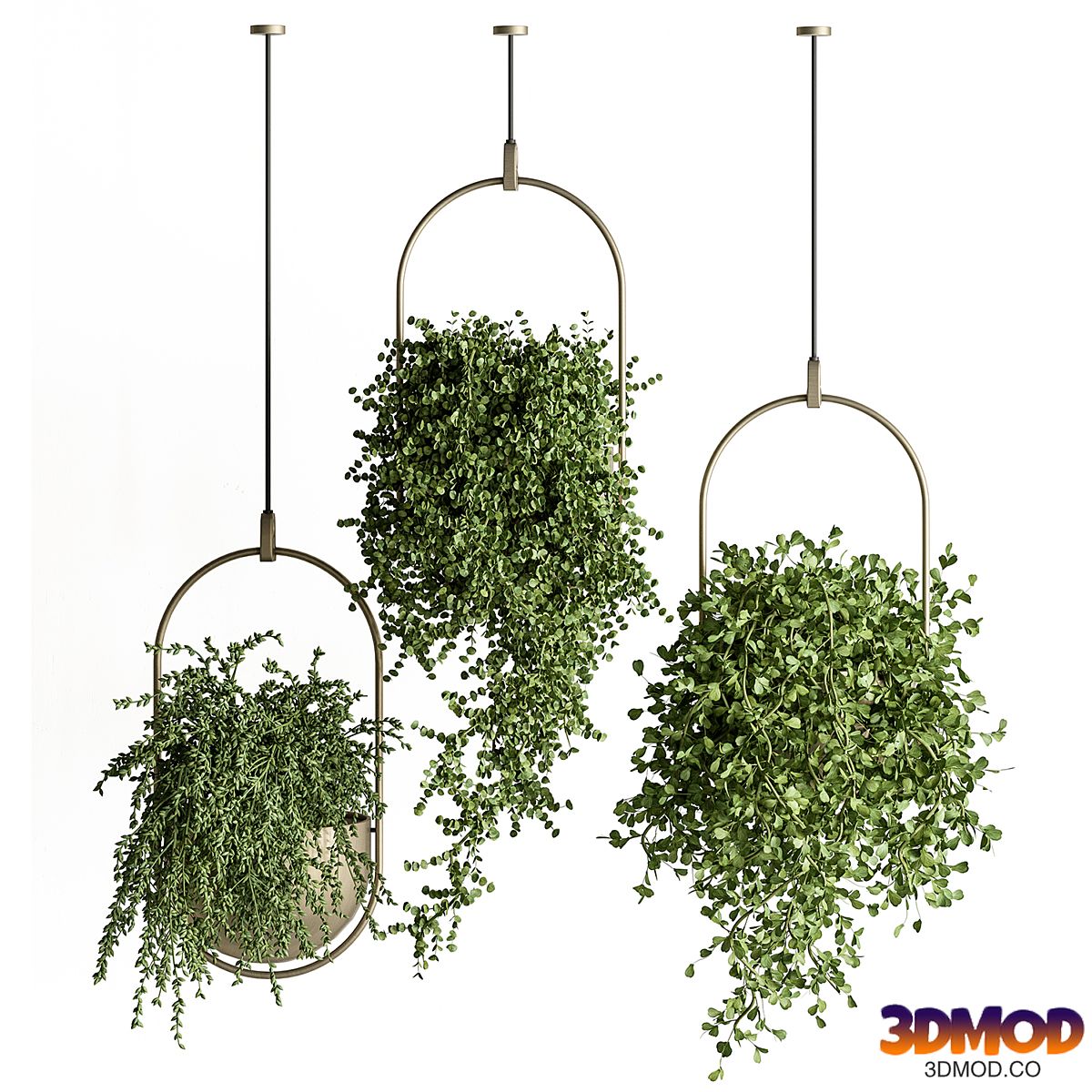 indoor Plant Set 410 - Hanging Plants