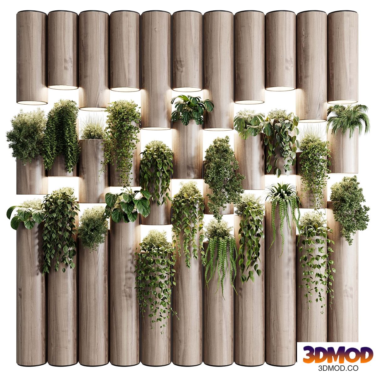 plants set partition in wooden frame- Vertical graden wall decor box 30