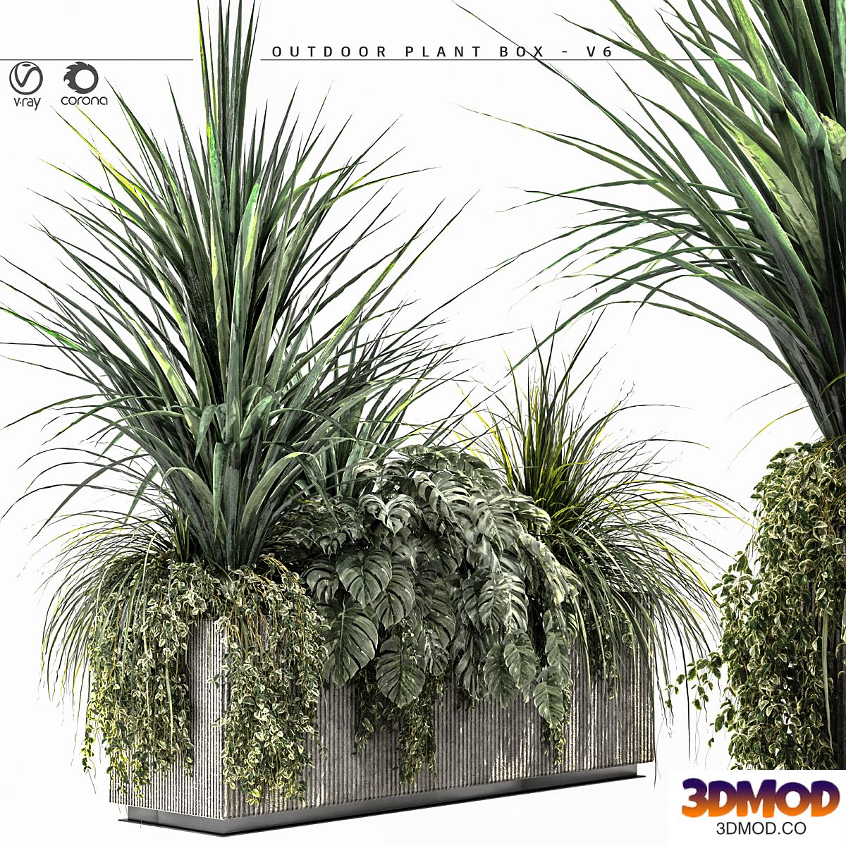Outdoor Plant BOX-V6