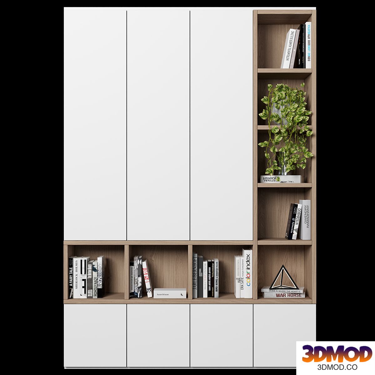 Cabinet with shelves 48