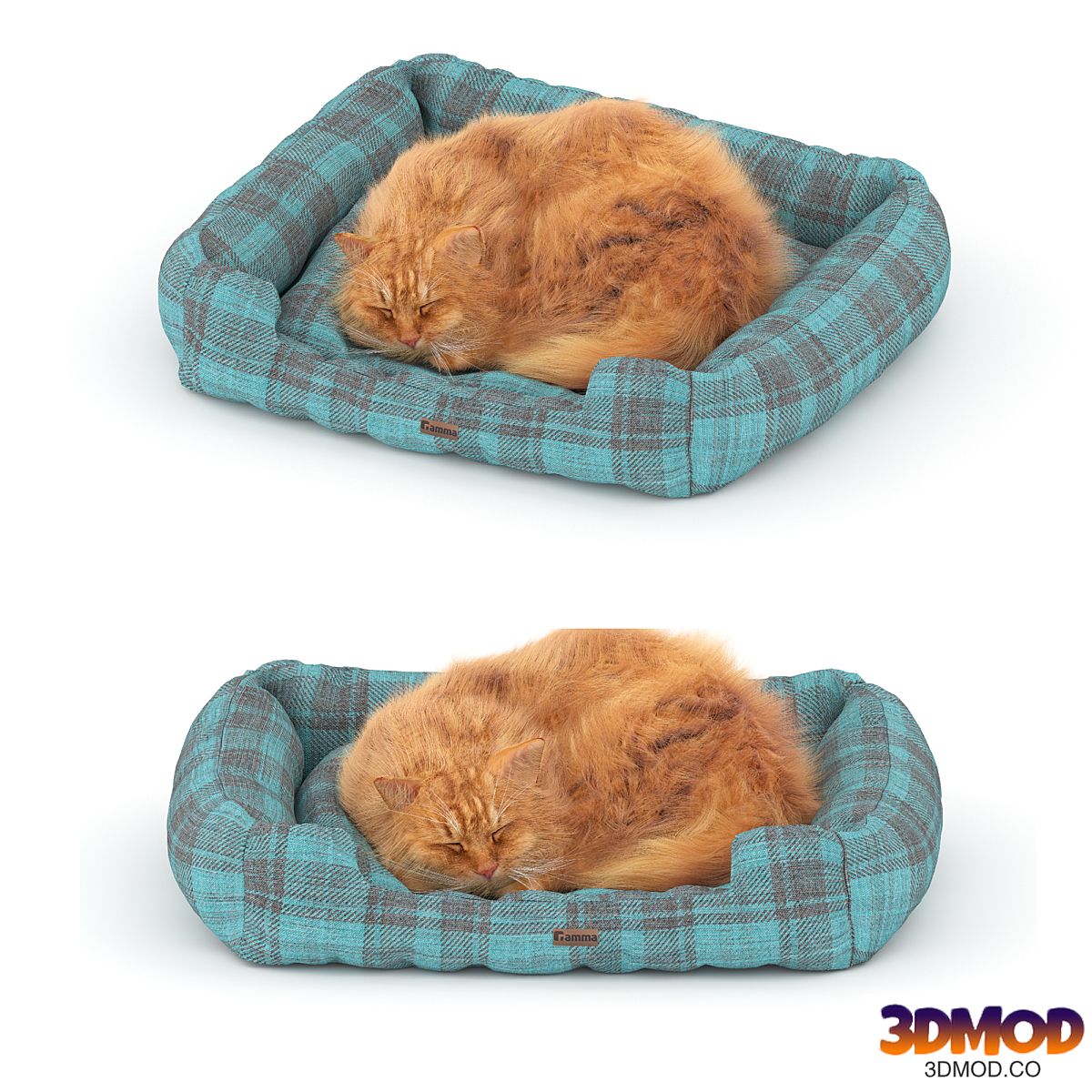 Ginger cat on the bed