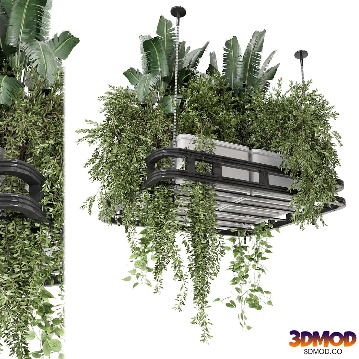 Hanging Plants Set in Concrete Pot - Set 1113