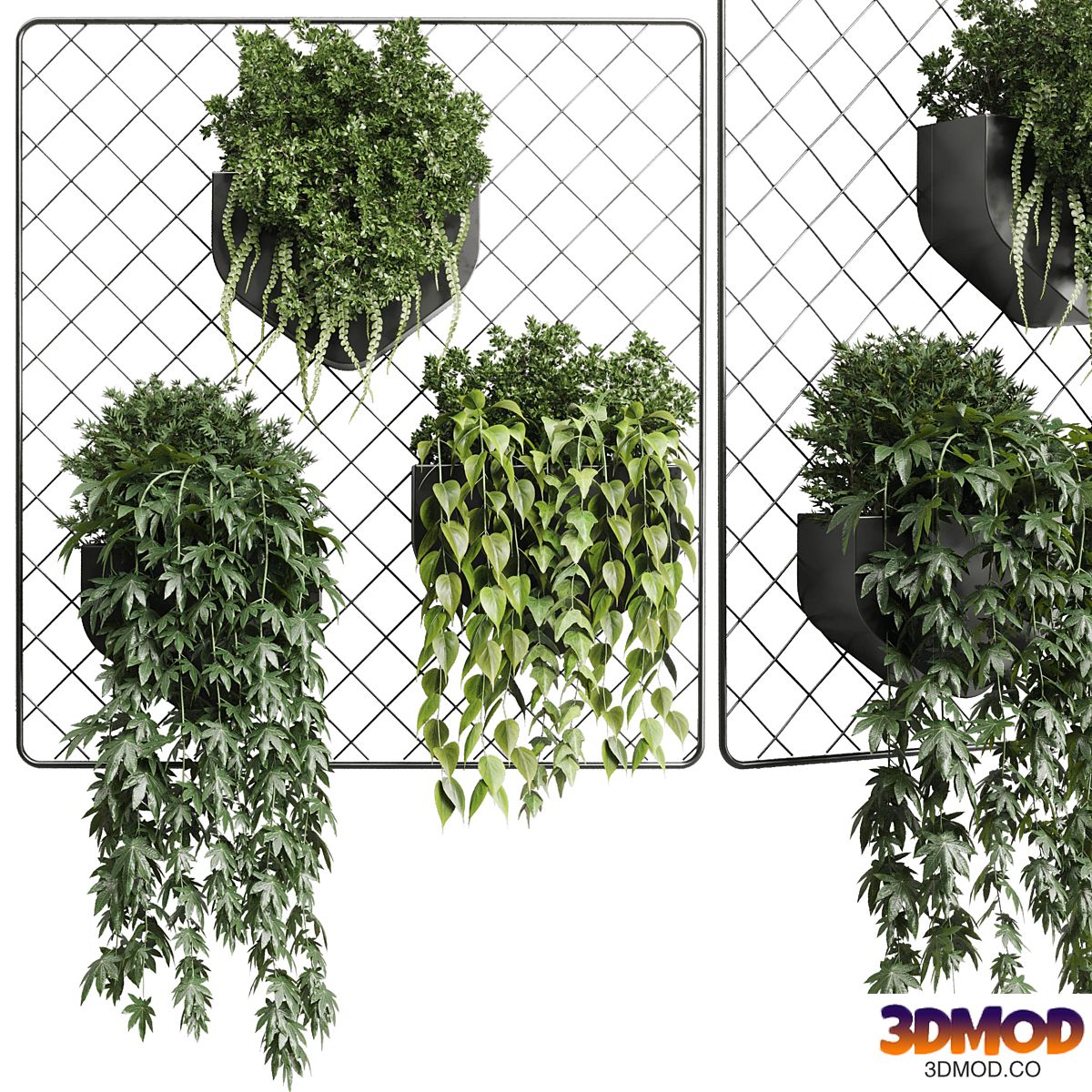 wall plant - hanging plants collection Indoor plant 293 metal dirt vase